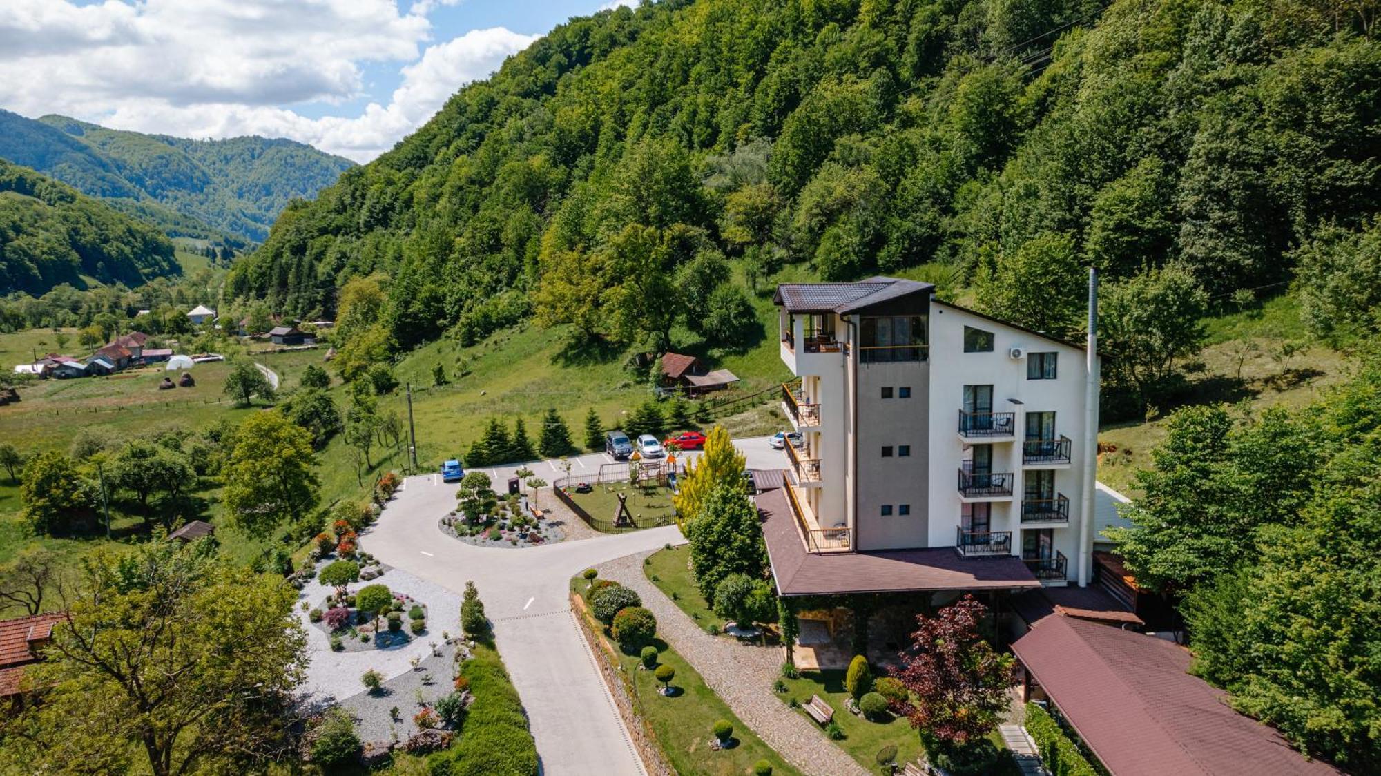Pensiunea Apuseni Wild Remeţi 外观 照片
